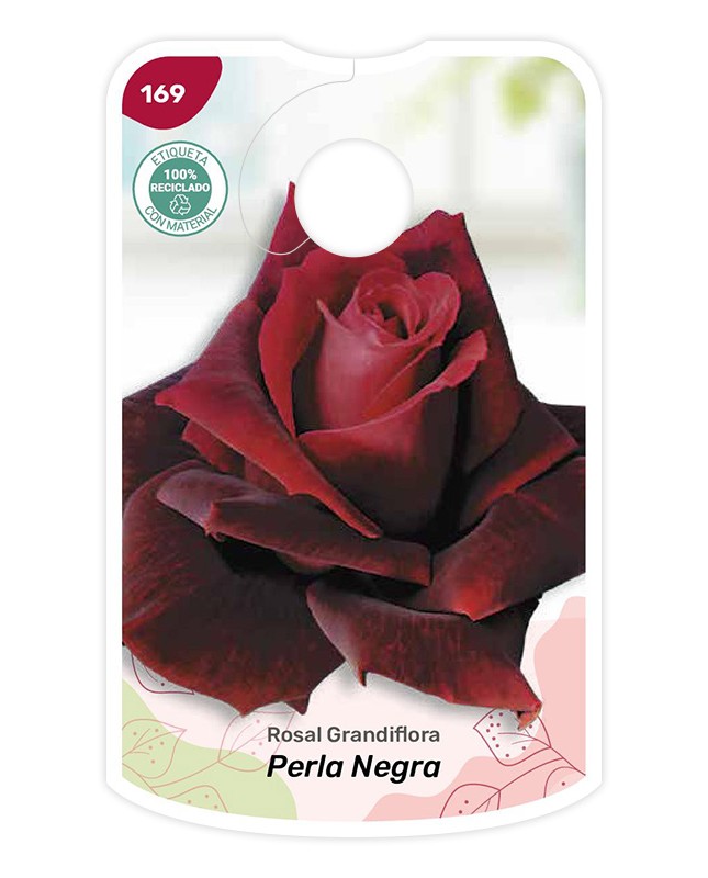 Etichette di Rosal Perla Negra