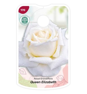 Queen Elizabeth - blanco