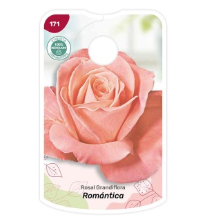 Etichette di Rosal Romantica