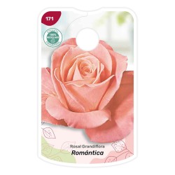 Etichette di Rosal Romantica