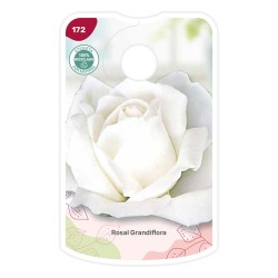 Etichette di Rosal Blanco