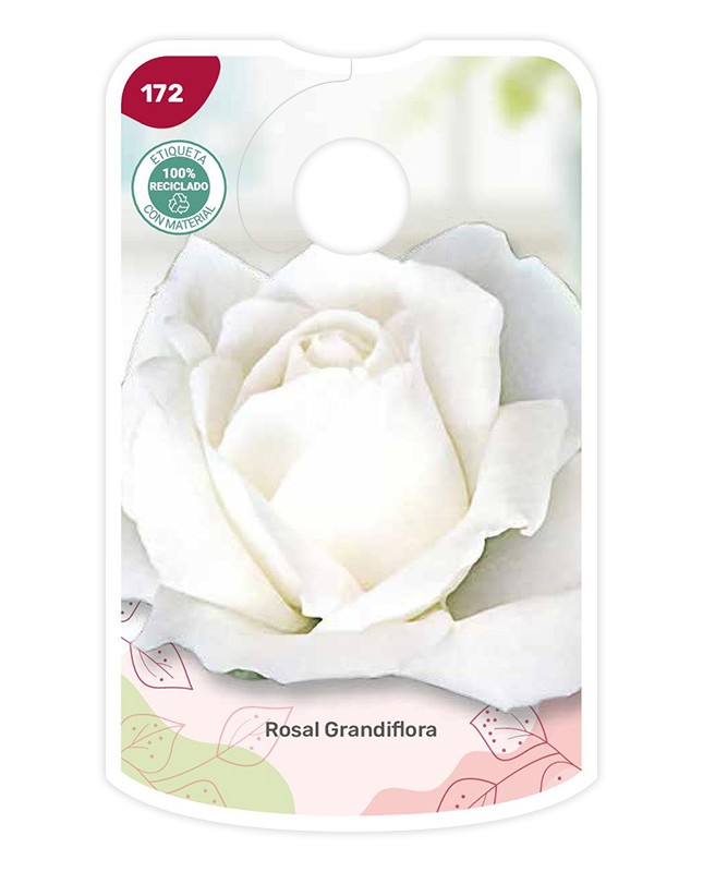 Etichette di Rosal Blanco