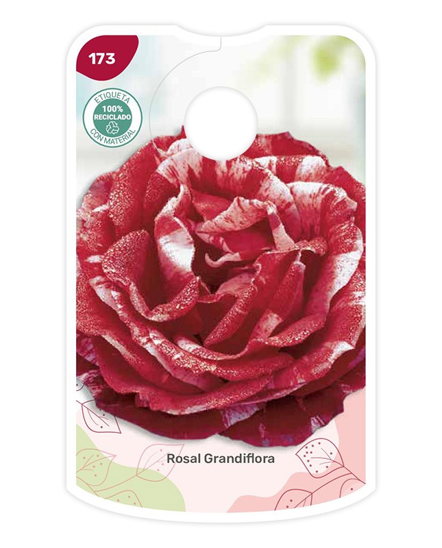 Etichette di Rosal Bicolor (granate - blanco)