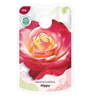 Etiquetas de Rosal Hippy