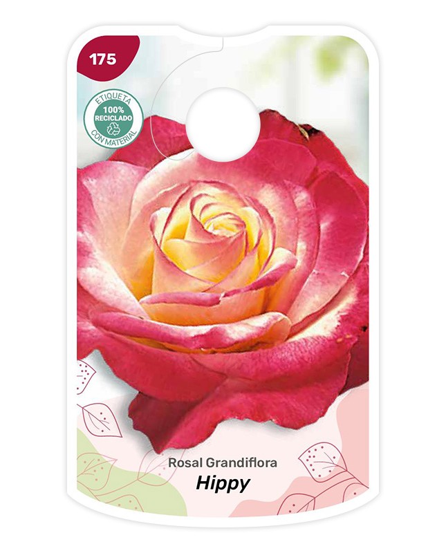 Etichette di Rosal Hippy