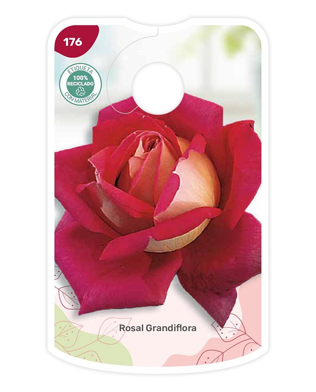 Bicolor (rojo - amarillo)