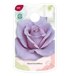 Etichette di Rosal Lila