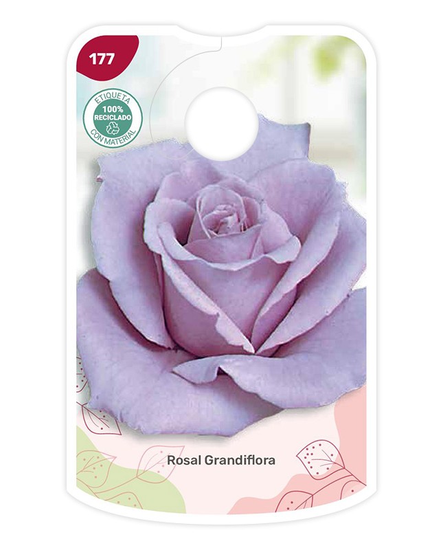 Etichette di Rosal Lila