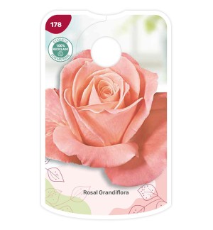 Etichette di Rosal Rosa suave