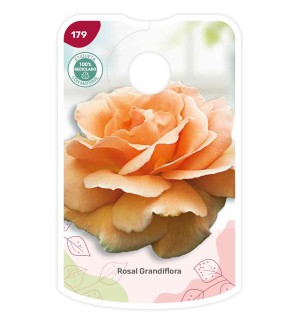 Etichette di Rosal Naranja suave