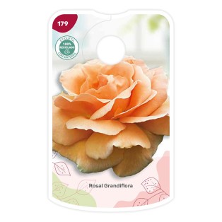 Etichette di Rosal Naranja suave