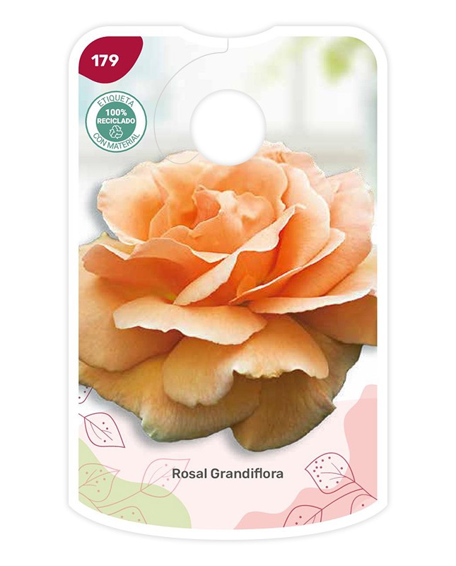 Etiquetas de Rosal Naranja suave