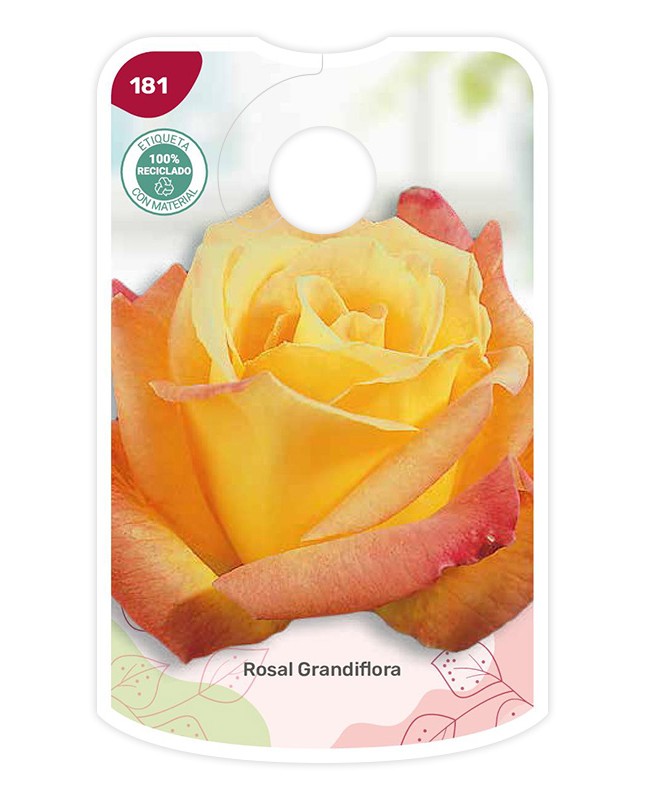 Etichette di Rosal Bicolor (naranja - amarillo)