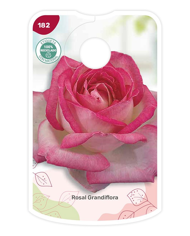 Etiquetas de Bicolor (rosa - branco)