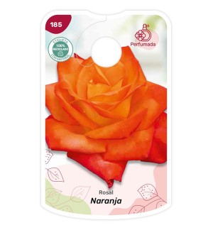 Etiquetas de Laranja - Perfumado