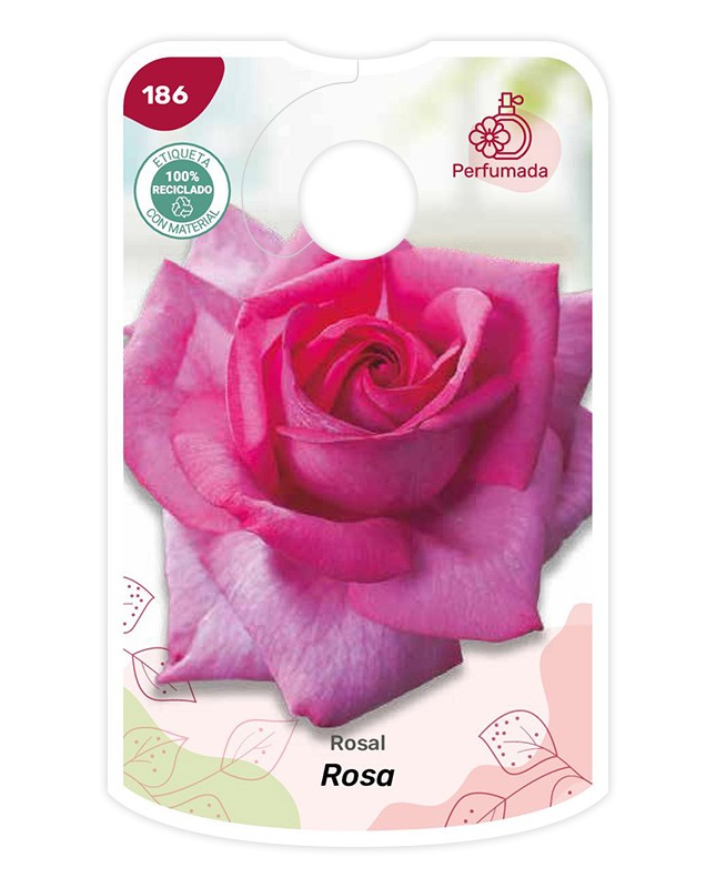 Etichette di Rosal Rosa - Perfumada