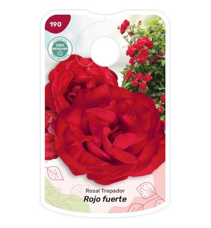 Etichette di Rosal Rojo fuerte - Trepador