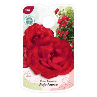 Etichette di Rosal Rojo fuerte - Trepador