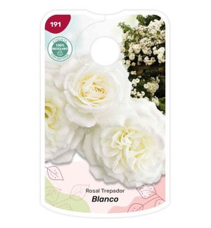 Etiquetas de Rosal Blanco - Trepador