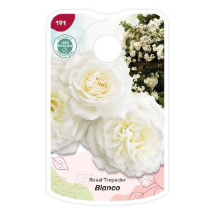Etichette di Rosal Blanco - Trepador