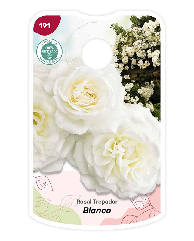 Etichette di Rosal Blanco - Trepador