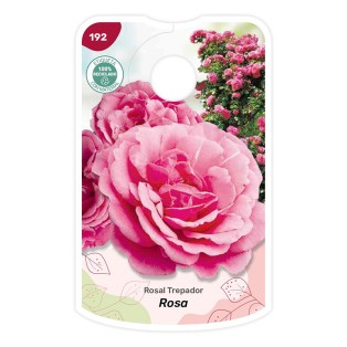Etichette di Rosal Rosa - Trepador