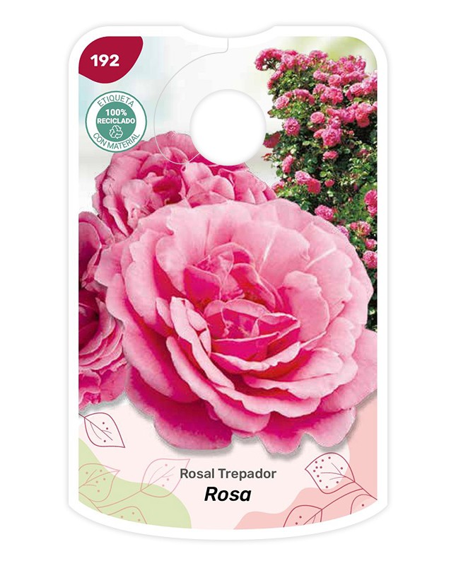 Etichette di Rosal Rosa - Trepador