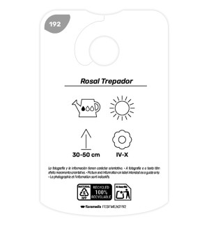 Etiquetas de Rosal Rosa - Trepador