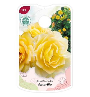 Etichette di Rosal Amarillo - Trepador