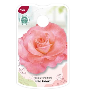 Etichette di Rosal Sea Pearl