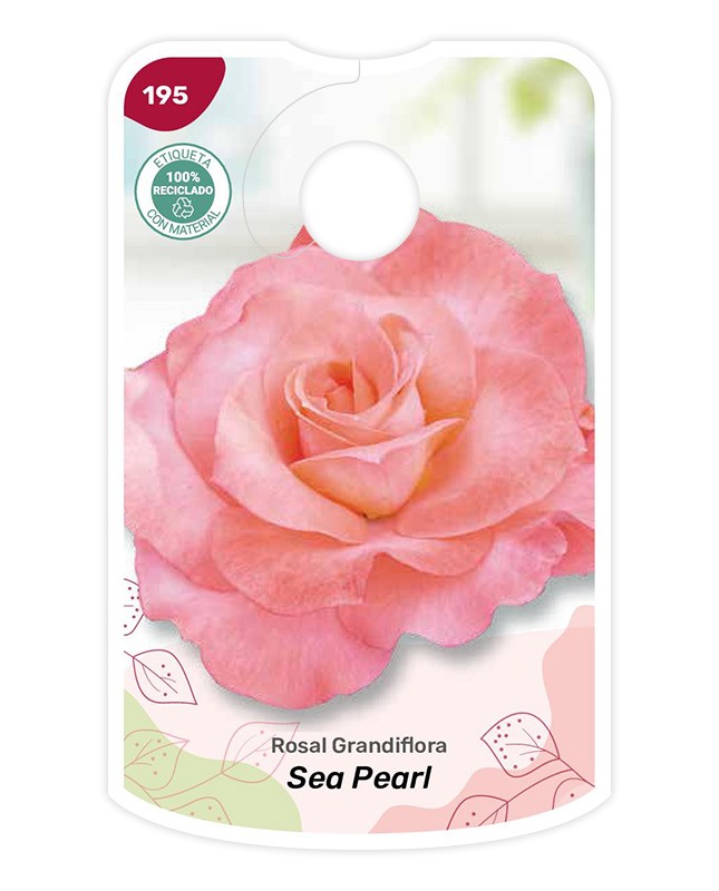 Etichette di Rosal Sea Pearl