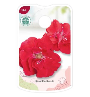 Etichette di Rosal Floribunda