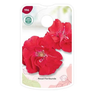 Etiquetas de Floribunda