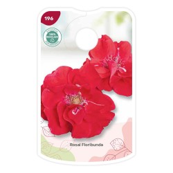 Etiquetas de Floribunda