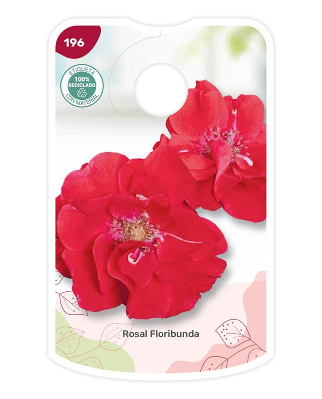 Etichette di Rosal Floribunda