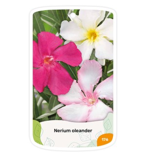 copy of Etichette di Oleandro (rosso semplice)