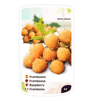Etiquetas de Frambueso (amarillo)
