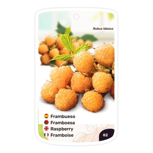 Etiquetas de Frambueso (amarillo)