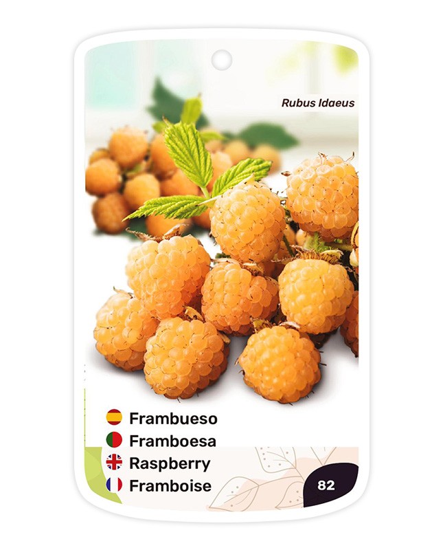 Etiquetas de Frambueso (amarillo)