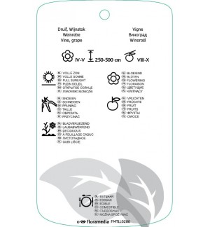 Etichette di Vitis  blauw *