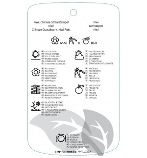 Etichette di Actinidia diliciosa ‘Hayward’ *