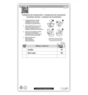 Etichette di Grosellero (rojo)