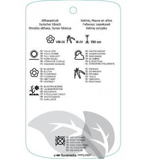 Etichette di Hibiscus syriacus ‘Flogi’ (Pink Giant) *