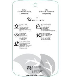 Etichette di Syringa vulgaris ‘Michel Buchner’ *