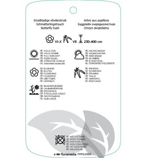 Etichette di Buddleja alternifolia *