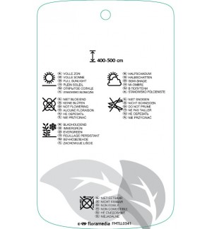 Etichette di Semiarundinaria kagamiana *