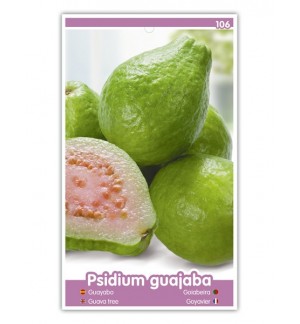 Guayabo (rojo)