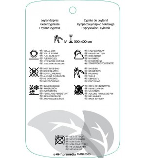 Etichette di Cupressocyparis leylandii *