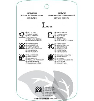 Etichette di Juniperus communis ‘Hibernica’ *