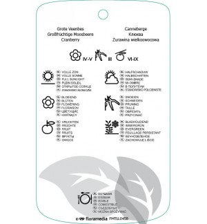 Etichette di Vaccinium macrocarpon ‘Pilgrim’ *